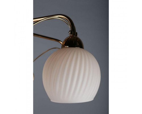 Оформить заказ Накладная люстра Omnilux OML-31907-06| VIVID-LIGHT.RU