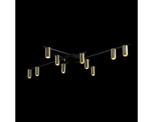 Купить Накладная люстра LOFT IT 8120C-10| VIVID-LIGHT.RU