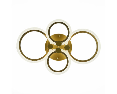 Оформить заказ Накладная люстра EVOLED SLE500522-04| VIVID-LIGHT.RU