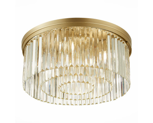 Оформить заказ Накладная люстра ST-Luce SL1624.202.09| VIVID-LIGHT.RU