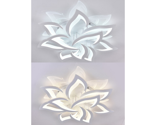 Оформить заказ Накладная люстра Natali Kovaltseva LED LAMPS 81224| VIVID-LIGHT.RU