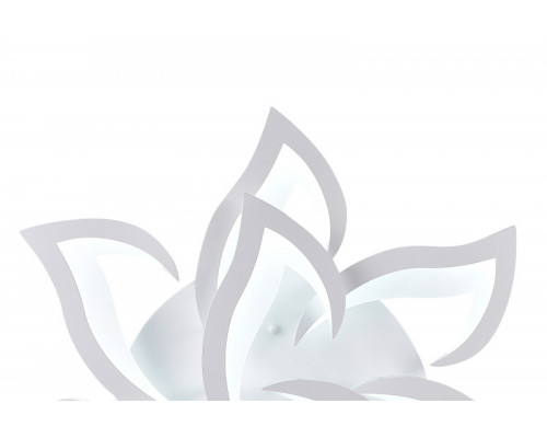 Оформить заказ Накладная люстра Natali Kovaltseva LED LAMPS 81224| VIVID-LIGHT.RU