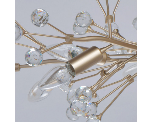 Оформить заказ Накладная люстра MW-Light 280011810| VIVID-LIGHT.RU