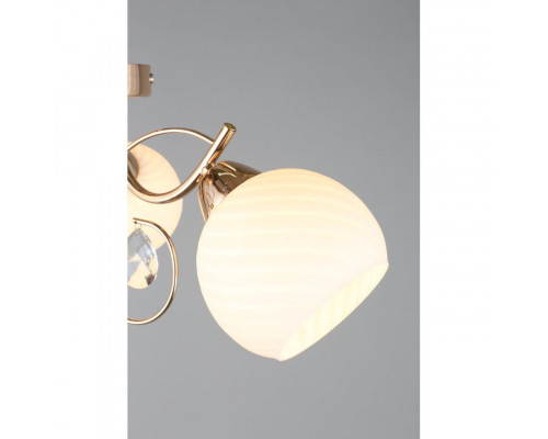 Сделать заказ Накладная люстра Omnilux OML-25207-05| VIVID-LIGHT.RU