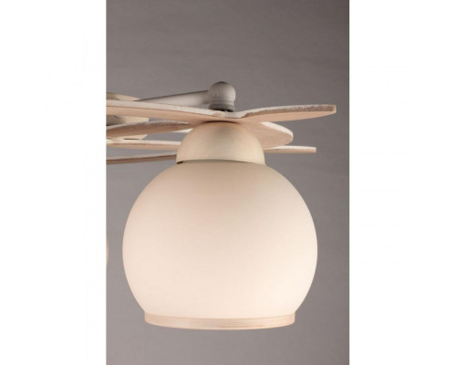 Заказать Накладная люстра Omnilux OML-50517-05| VIVID-LIGHT.RU