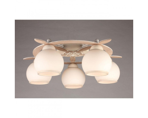 Заказать Накладная люстра Omnilux OML-50517-05| VIVID-LIGHT.RU