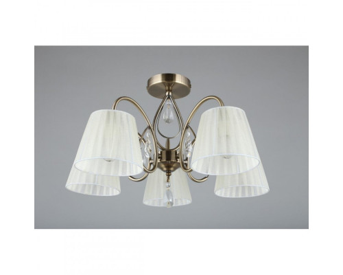 Оформить заказ Накладная люстра Omnilux OML-56617-05| VIVID-LIGHT.RU