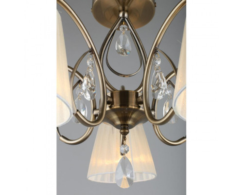 Оформить заказ Накладная люстра Omnilux OML-56617-05| VIVID-LIGHT.RU