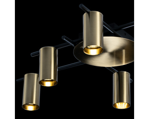 Оформить заказ Накладная люстра LOFT IT 8120C-6| VIVID-LIGHT.RU