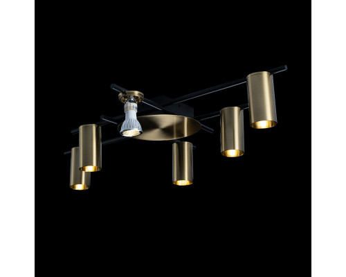 Оформить заказ Накладная люстра LOFT IT 8120C-6| VIVID-LIGHT.RU