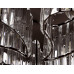 Оформить заказ Накладная люстра Ambrella Light TR5203| VIVID-LIGHT.RU