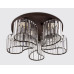 Оформить заказ Накладная люстра Ambrella Light TR5203| VIVID-LIGHT.RU
