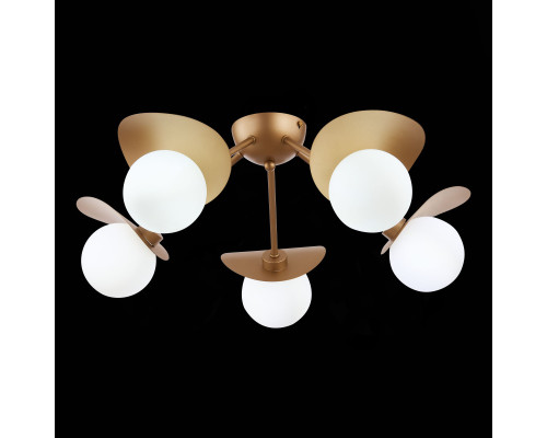 Сделать заказ Накладная люстра Evoluce SLE220502-05| VIVID-LIGHT.RU