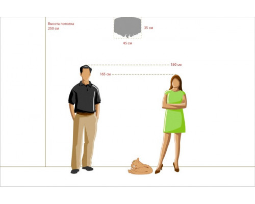 Купить Накладная люстра MW-Light 465014506| VIVID-LIGHT.RU