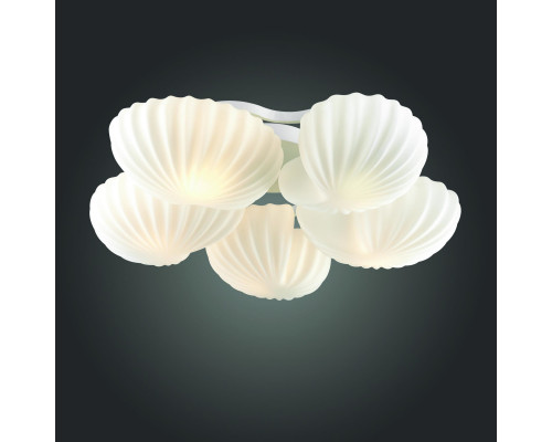 Оформить заказ Накладная люстра ST-Luce SL534.502.05| VIVID-LIGHT.RU