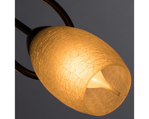 Сделать заказ Накладная люстра ARTE Lamp A8616PL-3AB| VIVID-LIGHT.RU