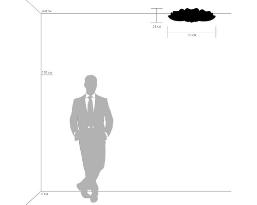 Оформить заказ Накладная люстра Lightstar 804040| VIVID-LIGHT.RU