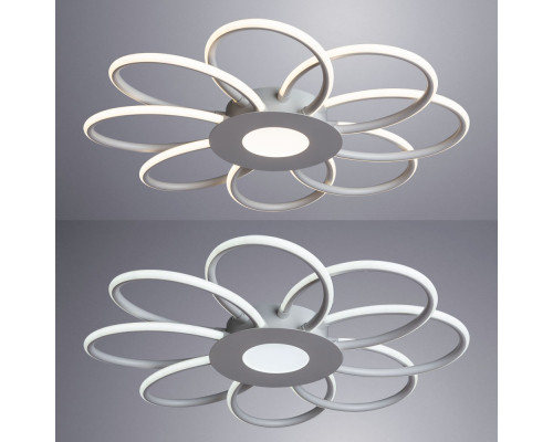 Купить Накладная люстра ARTE Lamp A2528PL-8WH| VIVID-LIGHT.RU