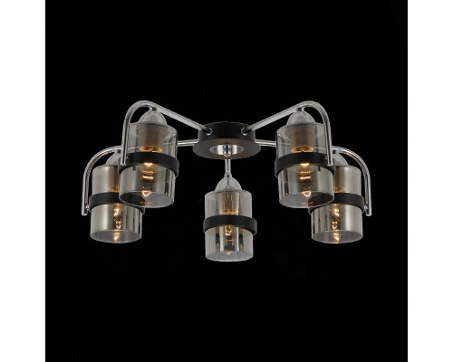 Оформить заказ Накладная люстра Evoluce SLE102002-05| VIVID-LIGHT.RU