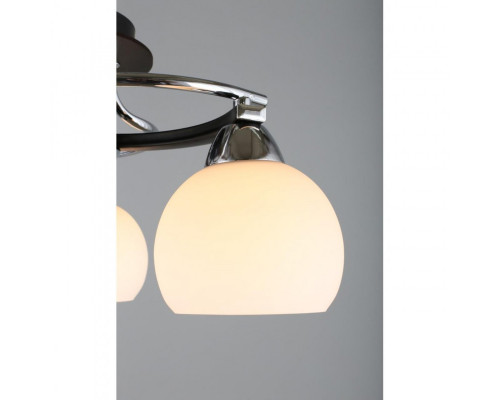 Заказать Накладная люстра Omnilux OML-25407-03| VIVID-LIGHT.RU