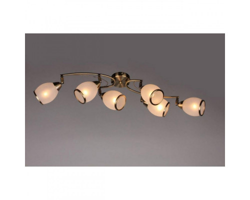 Заказать Накладная люстра OML-35127-06 Omnilux| VIVID-LIGHT.RU