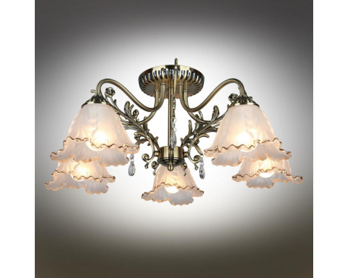 Оформить заказ Накладная люстра Omnilux OML-54807-05| VIVID-LIGHT.RU