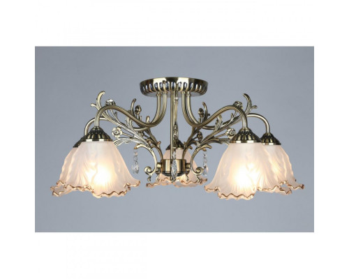 Оформить заказ Накладная люстра Omnilux OML-54807-05| VIVID-LIGHT.RU