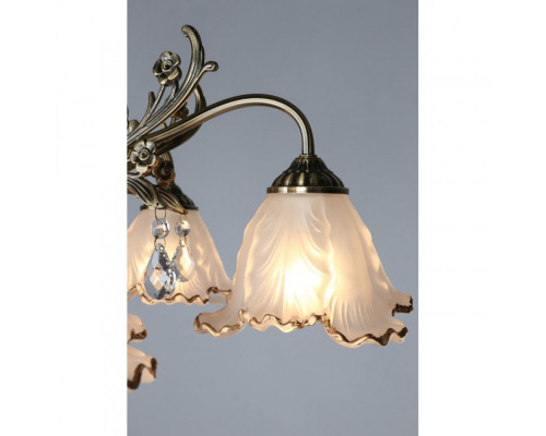 Оформить заказ Накладная люстра Omnilux OML-54807-05| VIVID-LIGHT.RU