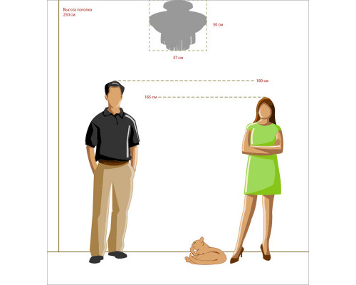 Заказать Накладная люстра Chiaro 340011308| VIVID-LIGHT.RU