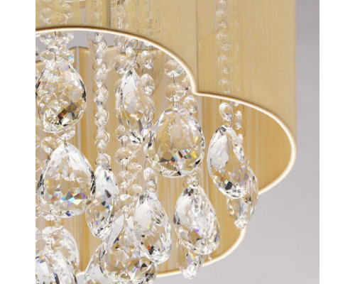 Заказать Накладная люстра MW-Light 465014306| VIVID-LIGHT.RU