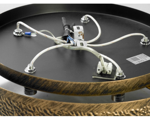 Оформить заказ Накладная люстра LOFT LSP-8025| VIVID-LIGHT.RU