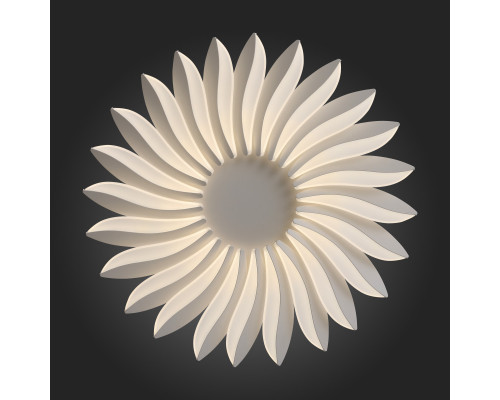 Заказать Накладная люстра ST-Luce SL836.502.24| VIVID-LIGHT.RU