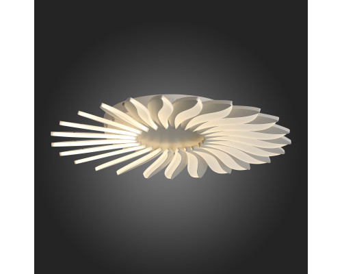 Заказать Накладная люстра ST-Luce SL836.502.24| VIVID-LIGHT.RU