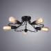Купить Накладная люстра ARTE Lamp A9344PL-5BK| VIVID-LIGHT.RU