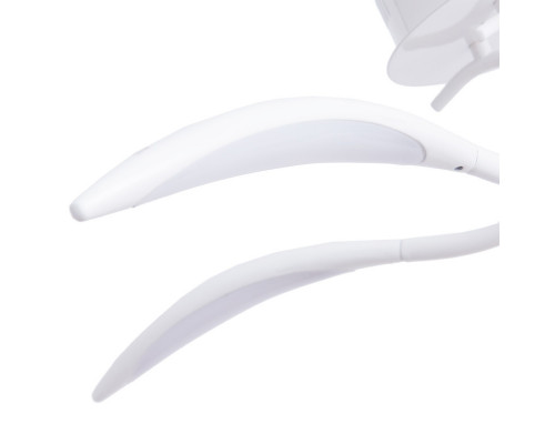 Заказать Накладная люстра ARTE Lamp A9442PL-5WH| VIVID-LIGHT.RU