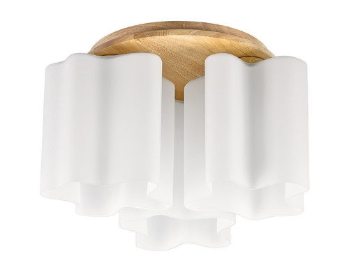 Сделать заказ Накладная люстра Lightstar 802035| VIVID-LIGHT.RU