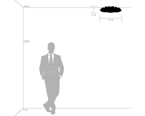 Оформить заказ Накладная люстра Lightstar 804020| VIVID-LIGHT.RU