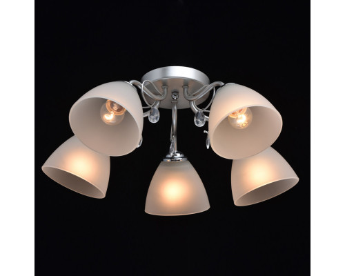 Сделать заказ Накладная люстра DeMarkt 676013005| VIVID-LIGHT.RU