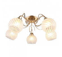 Накладная люстра Omnilux OML-24907-05