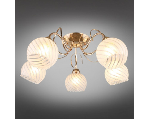 Купить Накладная люстра Omnilux OML-24907-05| VIVID-LIGHT.RU