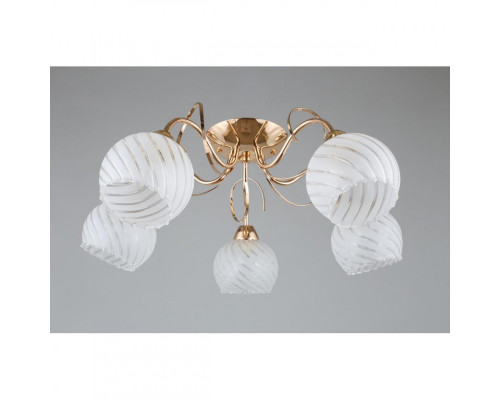 Купить Накладная люстра Omnilux OML-24907-05| VIVID-LIGHT.RU