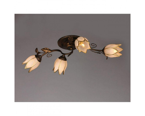 Оформить заказ Накладная люстра OML-36507-04 Omnilux| VIVID-LIGHT.RU