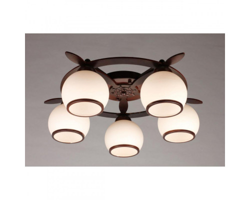 Сделать заказ Накладная люстра Omnilux OML-50507-05| VIVID-LIGHT.RU