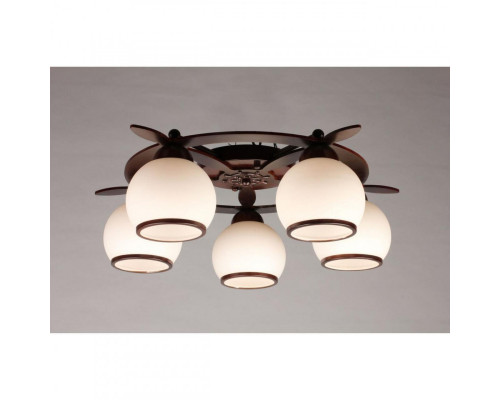 Сделать заказ Накладная люстра Omnilux OML-50507-05| VIVID-LIGHT.RU