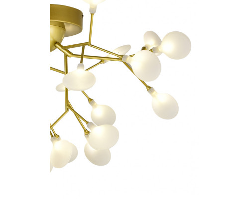 Сделать заказ Накладная люстра Natali Kovaltseva GRACE 75126/6C GOLD SATIN| VIVID-LIGHT.RU