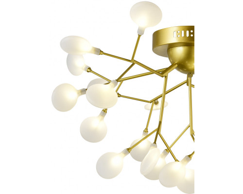 Сделать заказ Накладная люстра Natali Kovaltseva GRACE 75126/6C GOLD SATIN| VIVID-LIGHT.RU