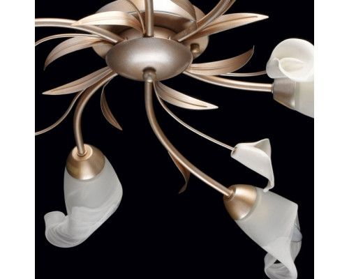 Купить Накладная люстра MW-Light 242016306| VIVID-LIGHT.RU