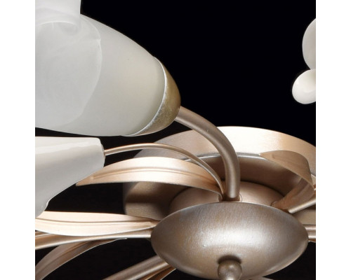 Купить Накладная люстра MW-Light 242016306| VIVID-LIGHT.RU