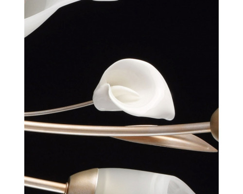 Купить Накладная люстра MW-Light 242016306| VIVID-LIGHT.RU