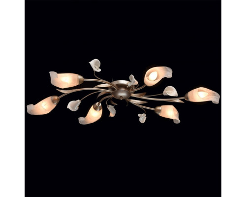Купить Накладная люстра MW-Light 242016306| VIVID-LIGHT.RU
